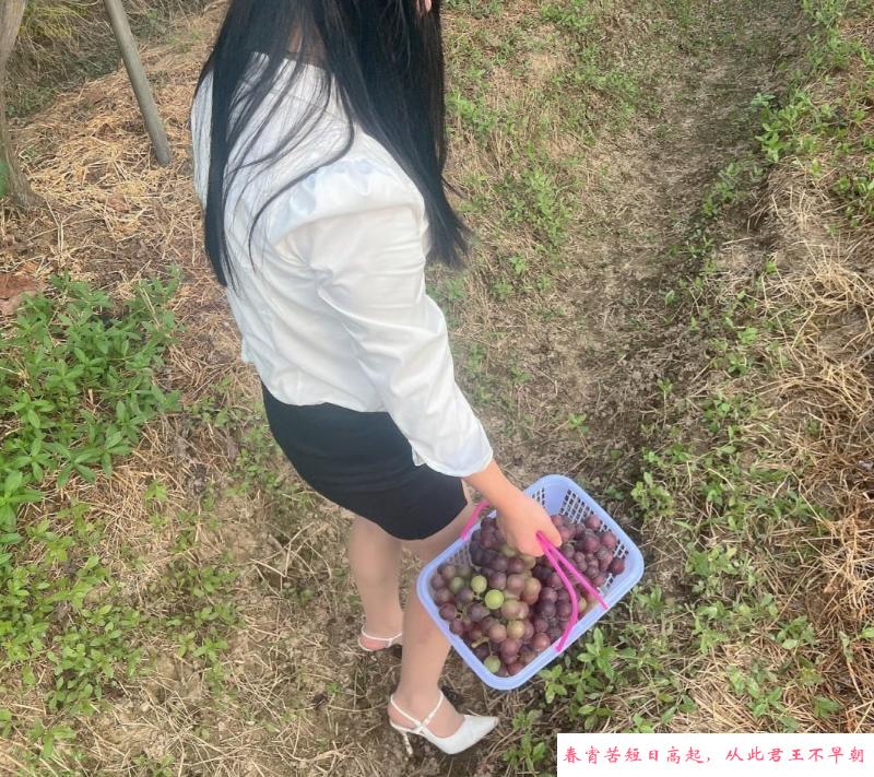 小巧玲珑骚逼少妇 第1张